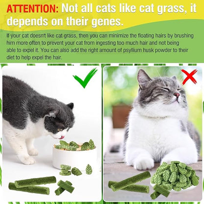 Psitofre Cat Grass Teething Sticks, 3.5oz Freezed Drying Cat Grass Treats, Cats Snacks for Hairball Removal and Dental Care