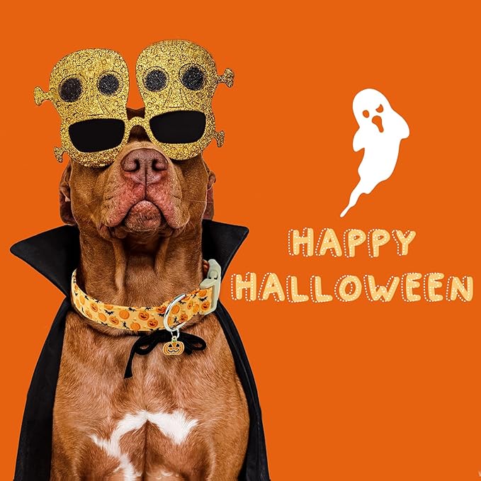 Faygarsle Halloween Dog Collar, Orange Pumpkin and Bat Pattern, Fall Festive Design for Small Medium Large Dogs L