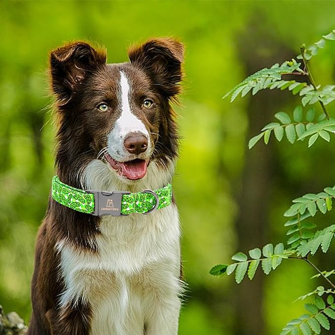 Lionheart Green Dog Collar - Soft & Durable, Adjustable & Comfortable Gift Collar for Spring or Fall