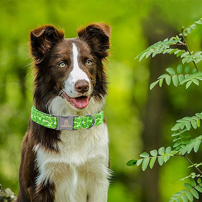 Lionheart Green Dog Collar - Soft & Durable, Adjustable & Comfortable Gift Collar for Spring or Fall