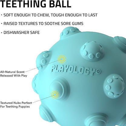 Playology Dog Toys | Puppy Toy Teething Ball Designed for Young & Active Dogs | Medium Peanut Butter Scented Toy Made from Non Toxic Materials