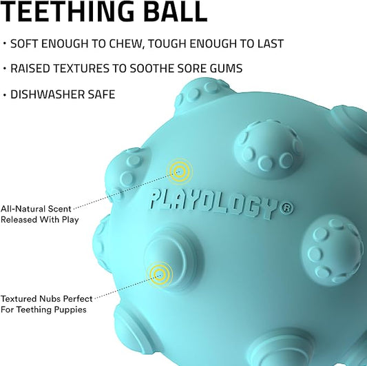 Playology Dog Toys | Puppy Toy Teething Ball Designed for Young & Active Dogs | Medium Peanut Butter Scented Toy Made from Non Toxic Materials
