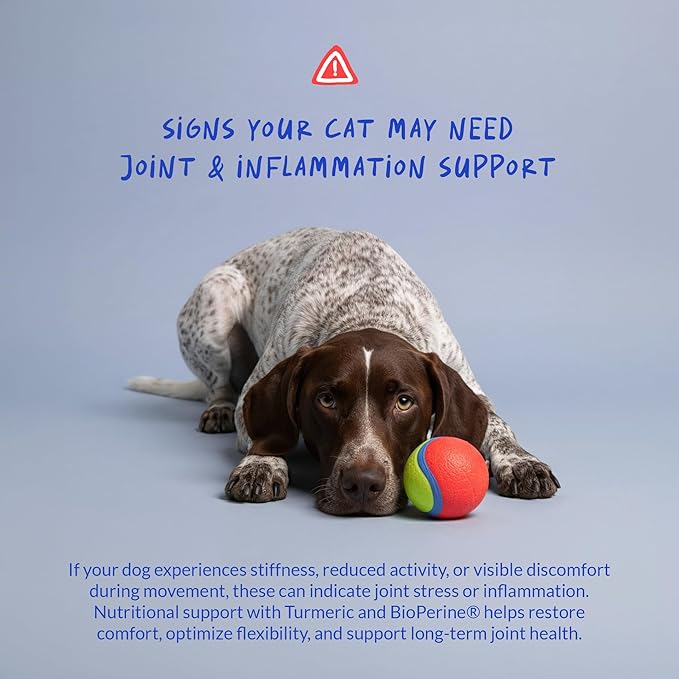 Turmeric for Dogs Anti Inflammatory Pain Relief - 120 Chewable Tablets - Hip & Joint Support Anti Inflammatory for Dogs with Curcumin and BioPerine, Antioxidant, Cardiovascular