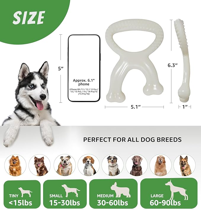 IPTPAS Durable Dog Chew Toy for Aggressive Chewers, Indestructible Nylon Bone Dental Care Teeth Cleaning Chew Toy for Small, Medium and Large Dogs, Keep Them Busy, Irresistible Beef Flavor (White)
