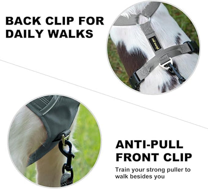 Plutus Pet No Pull Dog Harness, Reflective Adjustable Dog Vest Harness with Handle, Escape Proof, Soft Padded for Small Medium Large Dogs (Gray, L)
