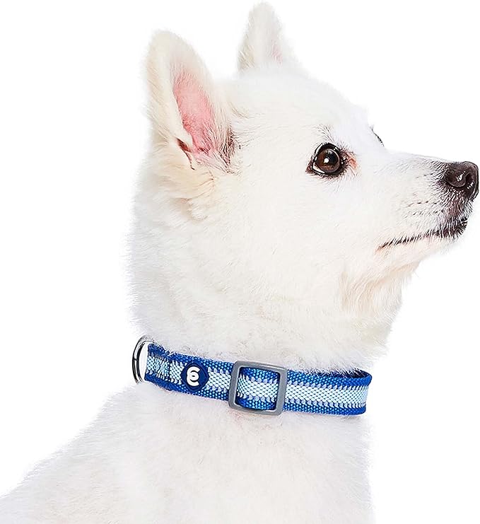 Blueberry Pet Medium Dog Collar in Reflective Navy Blue | Adjustable Classic Nylon Strap | Durable, Stylish & High-Visibility Dog Gear