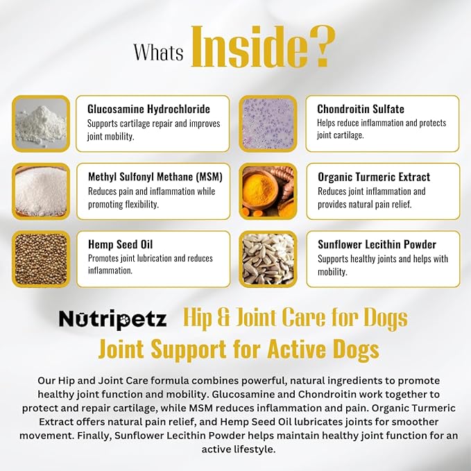 Hip & Joint Supplement for Dogs – NutriPetz Turmeric & Hemp Chews – Joint Pain Relief & Mobility Support – Glucosamine Dog Treats, All Breeds & Ages, 120 Soft Chews