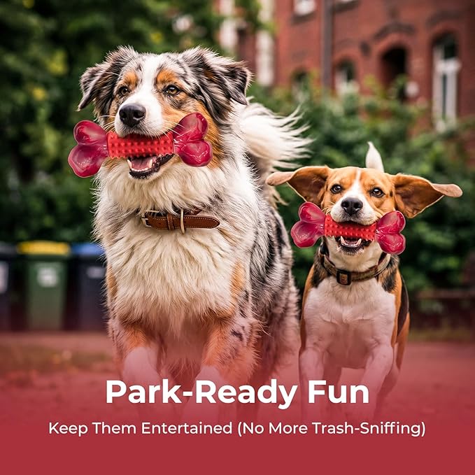 Apasiri Tough Dog Toys for Aggressive Chewers Large Breed, 2-Pack Dogs Chew Toys for Large Medium Dogs, Nylon and Rubber Dog-Bones for Teething Chew, Beef Flavor, for Doggo 20-80 lbs