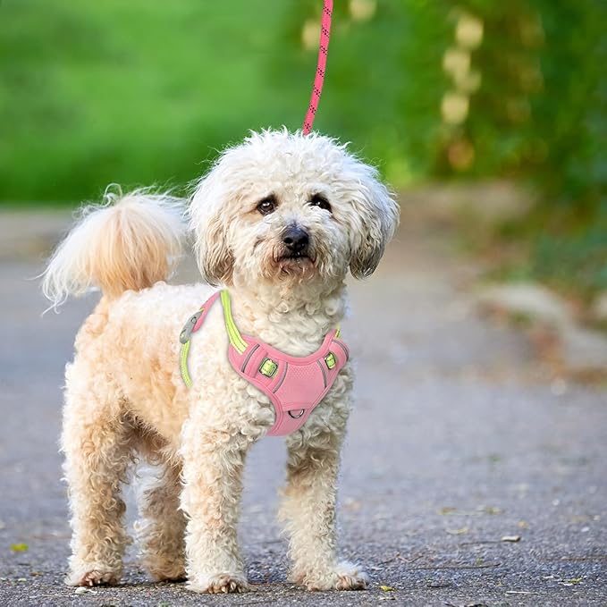 BARKBAY No Pull Dog Harness Large Reflective Dog Harness with Front Clip and Easy Control Handle for Walking Training Running with ID tag Pocket(Baby Pink & Sunlight,XS)