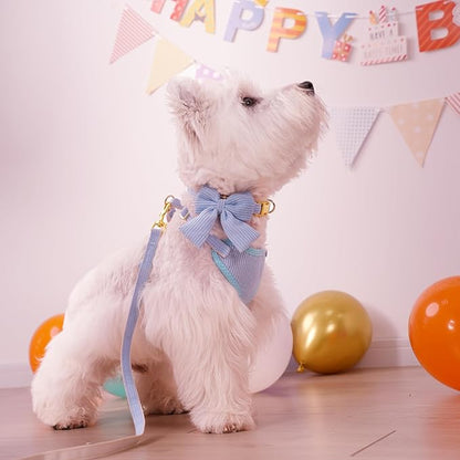 Didog Cute Small Dog Harness Collar and Leash Set with Bowtie, Breathable Soft Mesh Padded Puppy Harness, Dog Harness for Small Dogs Daily Walks Parties, Holiday Gatherings & Gifts, Blue, S