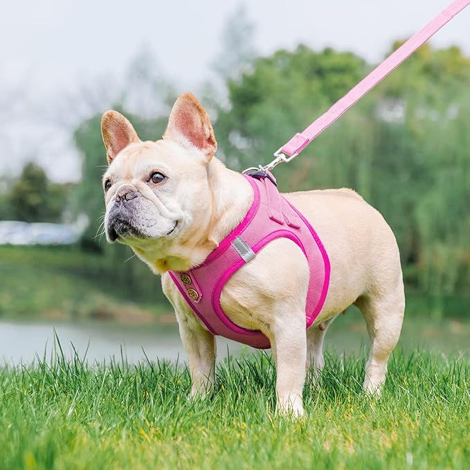 PUPTECK Dog Harness and Leash Set for Small Medium Dogs No Pull Step-in Soft Mesh Puppy Cat Vest Harnesses Reflective at Night, Denim Pink L