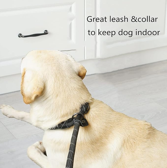 Reflective Slip Leads for Dogs 6FT, Slip Lead Dog Leash, Slip On Training Leash