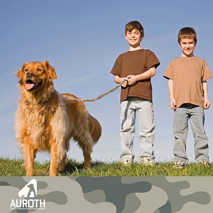AUROTH Heavy Duty Bungee Dog Leash for Medium Large Breed Dogs, No Pull Leashes for Shock Absorption with Car Seat Belt, 2 Padded Handles 4.5FT 6FT Training Dog Leash