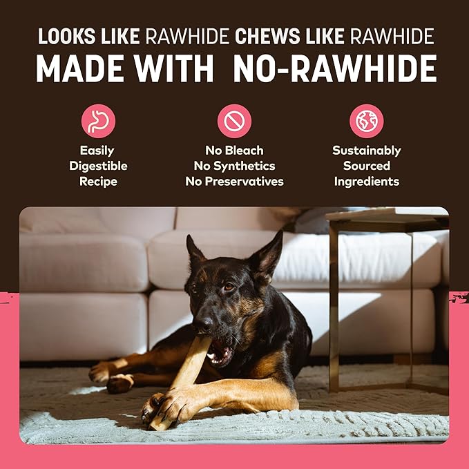 Earth Animal No Hide Chews - Long Lasting Rawhide Free Large Dog Chews Rolls, Salmon - 3 Count Value Pack
