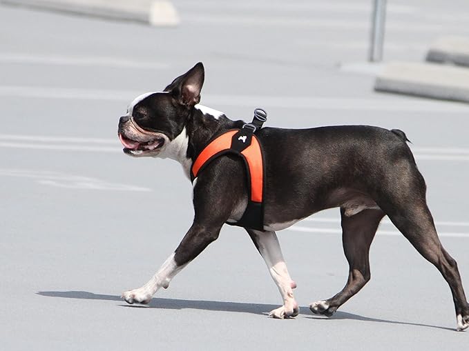 Gooby Escape Free Easy Fit Harness - Orange, X-Small - No Pull Step-in Patented Dog Harness with Quick Release Buckle - Perfect On The Go No Pull Harness for Small Dogs or Medium Dog Harness