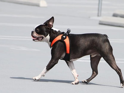 Gooby Escape Free Easy Fit Harness - Orange, Medium - No Pull Step-in Patented Small Dog Harness with Quick Release Buckle - Perfect On The Go No Pull Harness for Small Dogs or Medium Dog Harness