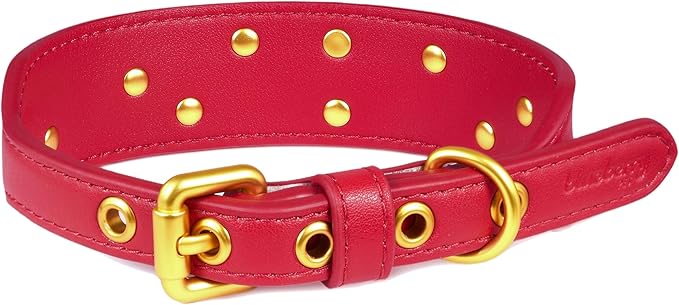 Blueberry Pet Premium Embossed Red Glam Silver-Powered Freshness Microfiber Leather Dog Collar with Gold Studs