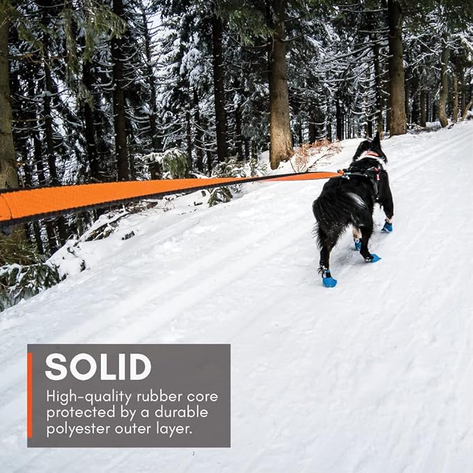 Non-stop dogwear Bungee Leash Elastic Dog Leash for Sports Like Running, Biking and Skiing with Dogs, Black/Orange, Size 2.0 m / 23 mm