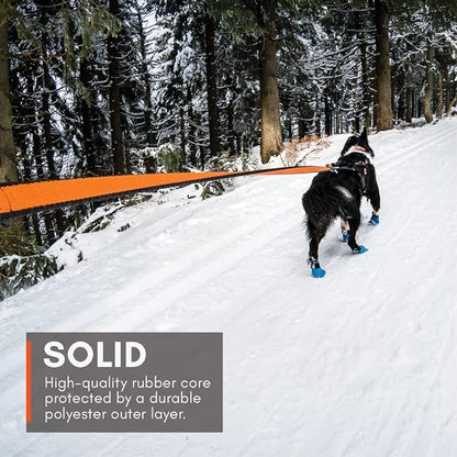 Non-stop dogwear Bungee Leash Elastic Dog Leash for Sports Like Running, Biking and Skiing with Dogs, Black/Orange, Size 2.0 m / 23 mm