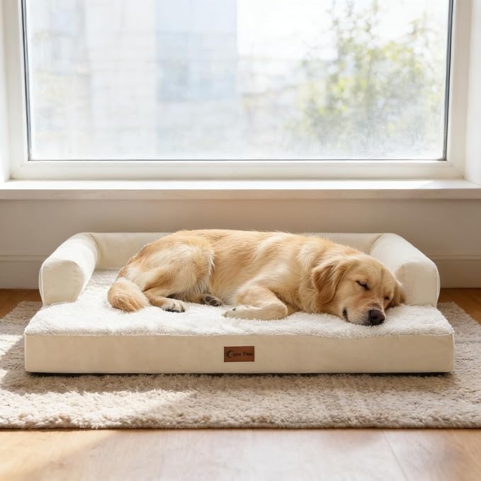 Casa Paw Orthopedic XXL Dog Beds, Waterproof Egg Crate Foam Big Pet Bed for All Breed Sized Dogs 53x42Inch, Washable Extra Large Dog Couch Bed with Removable Cover and Non-Slip Bottom, Beige