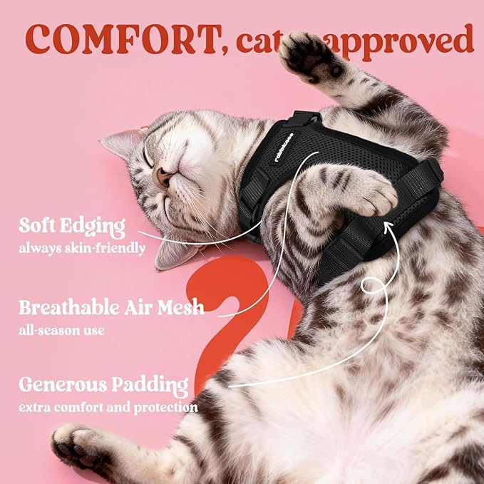 rabbitgoo Cat Harness and Leash for Walking, Escape Proof Soft Adjustable Vest Harnesses for Cats, Easy Control Breathable Reflective Strips Jacket, Black, XXS