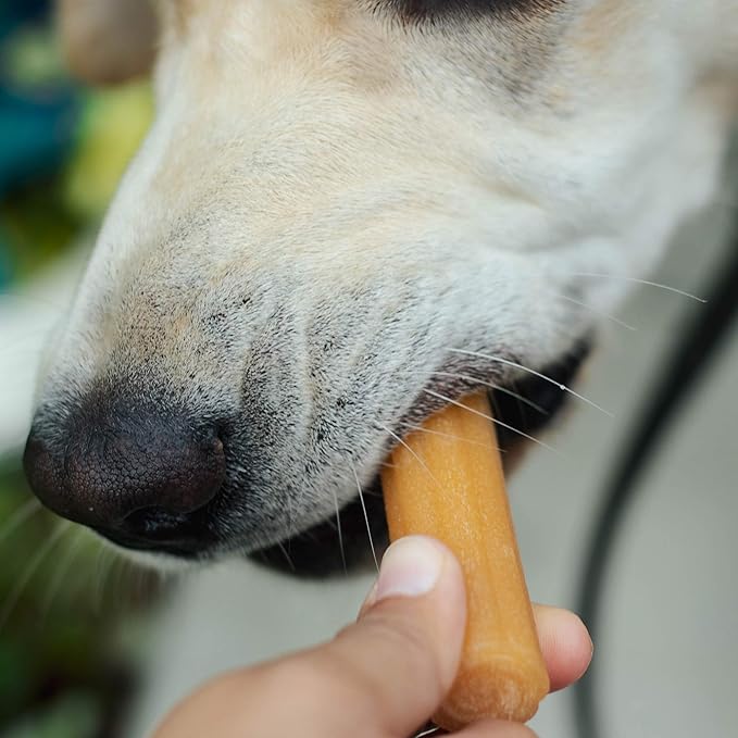 yaky CHURRO Himalaya Cheese Treats | Lactose Free | Gluten Free | Grain Free | USA MADE | for All Breeds | 4 CHURROs per Pouch | Original Cheese Flavor