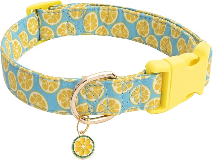 Faygarsle Cute Dog Collar for Girls Boy Dogs Soft Fancy Pet Collar with Lemon Design Ideal Yellow Green Summer Dog Collar for Small Medium Large Dogs M