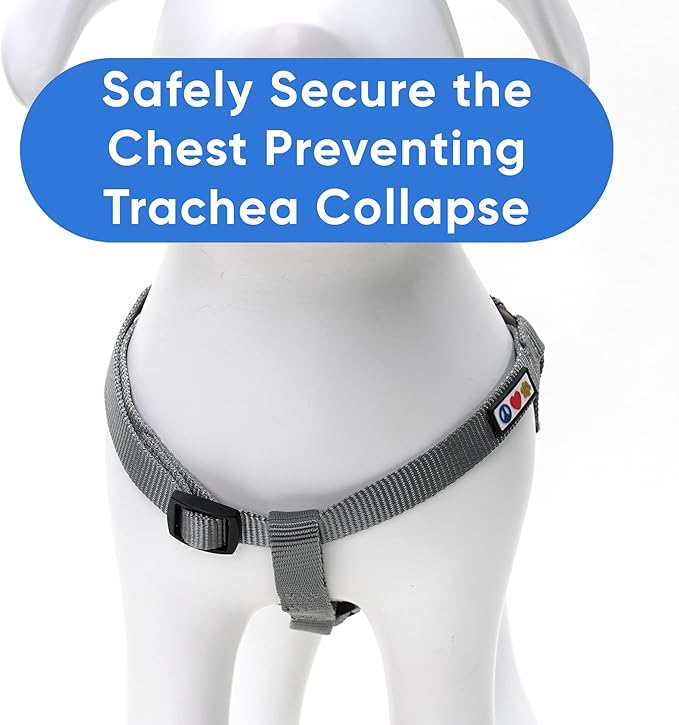 Pawtitas Solid Step-in Dog Harness – Adjustable No-Pull Vest for Puppies to Seniors, Safe & Comfortable XS Grey