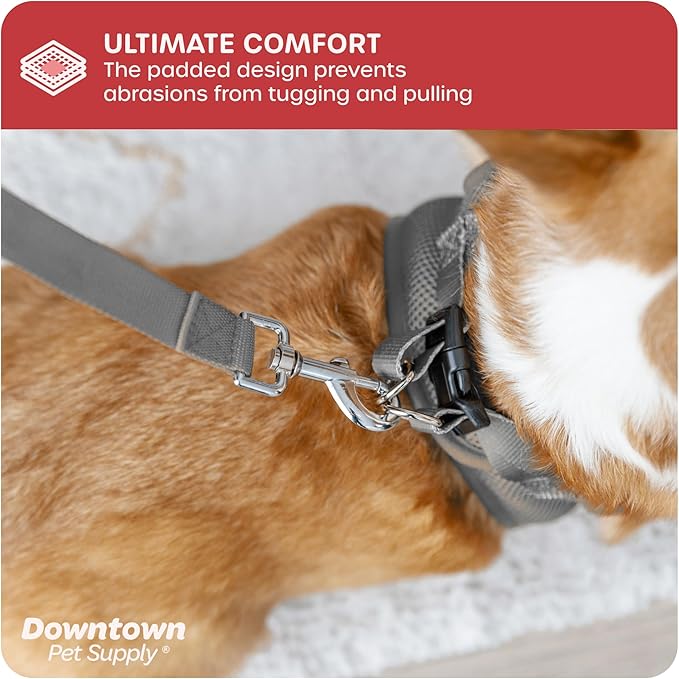 Downtown Pet Supply Step-in Dog Harness – No Pull, Adjustable Padded Mesh with Reflective Trim, Secure Buckle Strap – Comfortable & Breathable Small Dog Harness, Medium, Light Gray