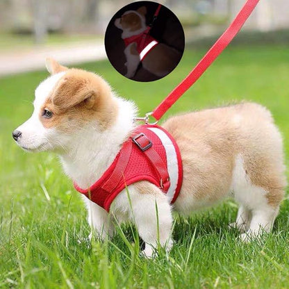 FEimaX Dog Harness and Leash Set for Walking, Soft Mesh Adjustable Easy Control Lightweight Cat Vest Harnesses with Reflective Strips, Escape Proof Small Dogs Cats Vests (Red, Medium)