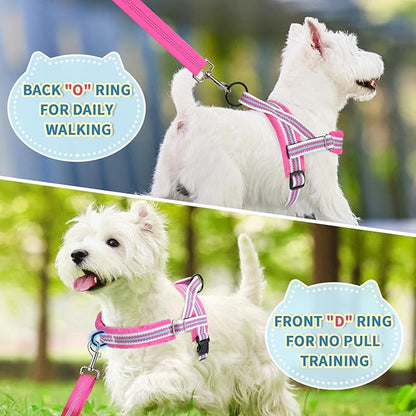 Lukovee No Pull Dog Harness and Leash Set, Soft Padded Small Dog Harness, Neck & Chest Adjustable Reflective Vest Puppy Harness with 4ft Lightweight Anti-Twist Dog Leash for Small Dogs (S, Fuschia)