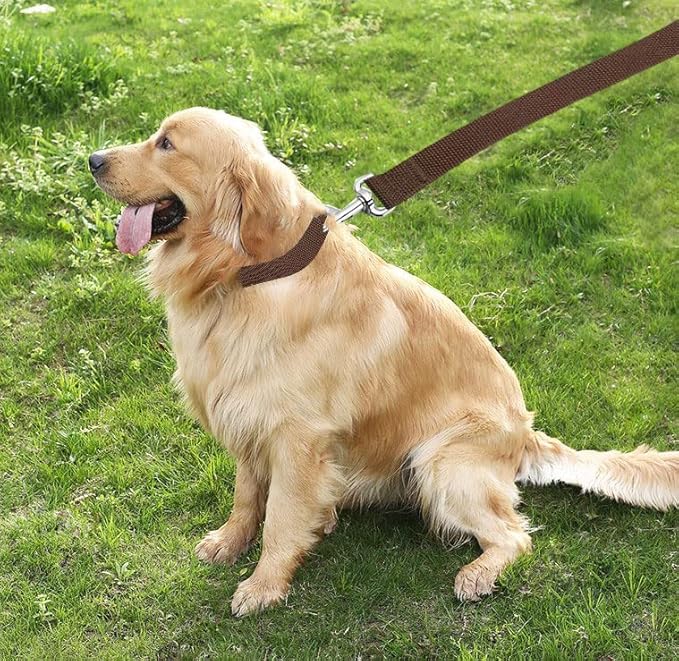 TAIAN 4FT/5FT/6FT Strong Dog Leash, Nylon Dog Leashes for Small Medium Large Dogs (1 in x 6 ft, Brown)