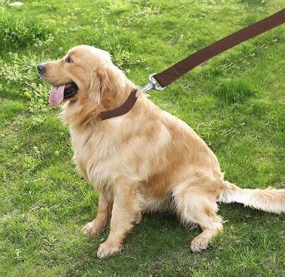 TAIAN 4FT/5FT/6FT Strong Dog Leash, Nylon Dog Leashes for Small Medium Large Dogs (1 in x 5 ft, Brown)