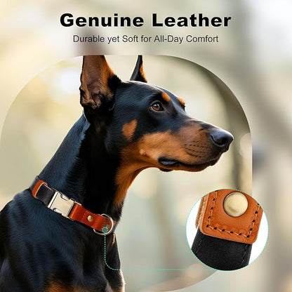 Plutus Pet Genuine Leather & Hemp Dog Collar – Adjustable Heavy Duty Pet Collar with Quick Release Metal Buckle, Soft & Stylish for Puppy and Small, Medium, Large Dogs (Black, S)
