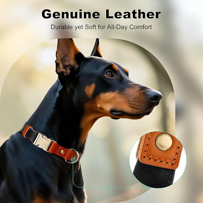 Plutus Pet Genuine Leather & Hemp Dog Collar – Adjustable Heavy Duty Pet Collar with Quick Release Metal Buckle, Soft & Stylish for Puppy and Small, Medium, Large Dogs (Black, L)