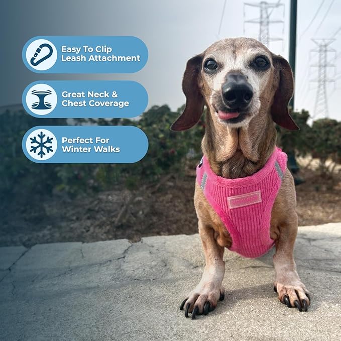 Best Pet Supplies - All Weather Plush, Reflective, No Pull Harness for Small, Medium Dogs, Cats - Secure with Hook & Loop Fastener, Buckle, Double D-Rings - Fuchsia Corduroy, S