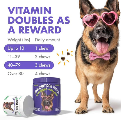 Hemp Hip & Joint Supplement for Dogs Soft Chews Made in USA Functional Glucosamine for Dogs Chondroitin MSM Turmeric Hemp Seed Oil Natural Pain Relief Mobility Advanced Joint 120 Treats