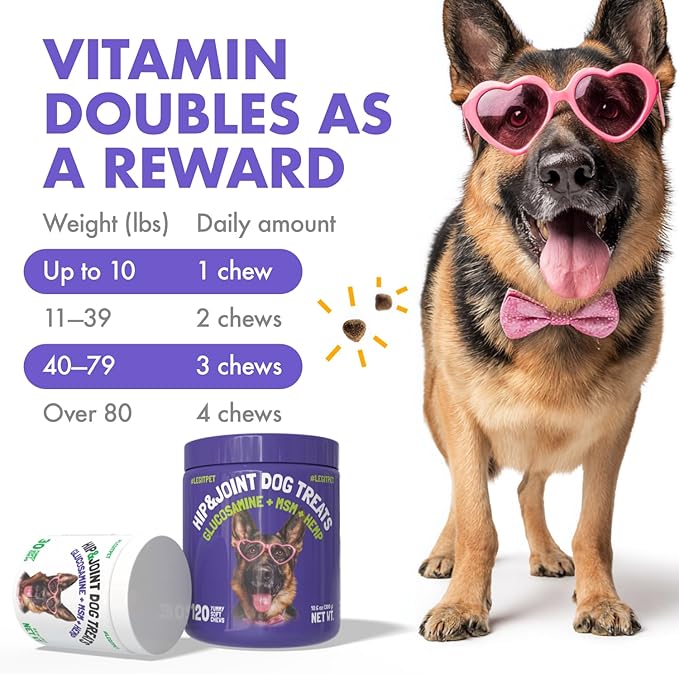 LEGITPET Hemp Hip & Joint Supplement for Dogs Soft Chews Made in USA Functional Glucosamine for Dogs Chondroitin MSM Turmeric Hemp Seed Oil Natural Pain Relief Mobility Advanced Joint 30 Treats