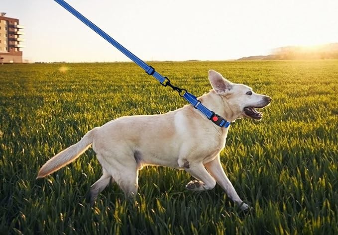 Martingale Dog Collar and Leash Set Martingale Collars for Dogs Reflective Martingale Collar for Small Medium Large Dogs(Blue&L)