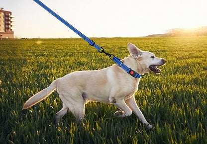 Martingale Dog Collar and Leash Set Martingale Collars for Dogs Reflective Martingale Collar for Small Medium Large Dogs(Blue&L)