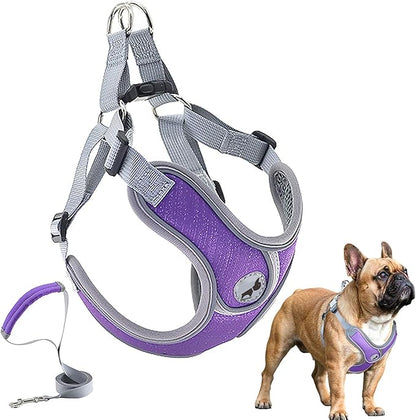 Dog Harness with Leash Set, Adjustable Step in Collars Harness with Breathable Padded Vest for Medium Dogs Training and Running (M, Purple)