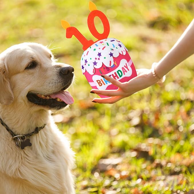 Dog Birthday Cake Toy Accessories for Girl Boy Gifts, Squeaky Plush Toy for Dog Birthday Party Decor Favor for Large, Medium and Small Dogs(10th,Pink)