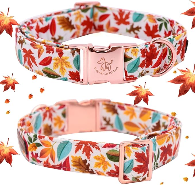 Elegant little tail Fall Dog Collar, Autumn Leaves Pet Collar Durable Dog Collars Male or Female Holiday Pet Gift Adjustable Dog Collar for Medium Dogs
