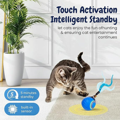 Dr. Fluffyyes Interactive Cat Toy Ball - Motion-Activated, USB Rechargeable Cat Toys for Indoor Cats with Anti-Scratch Cover & 2 Changeable Tails - Enrichment Toy for Active Cats & Kittens