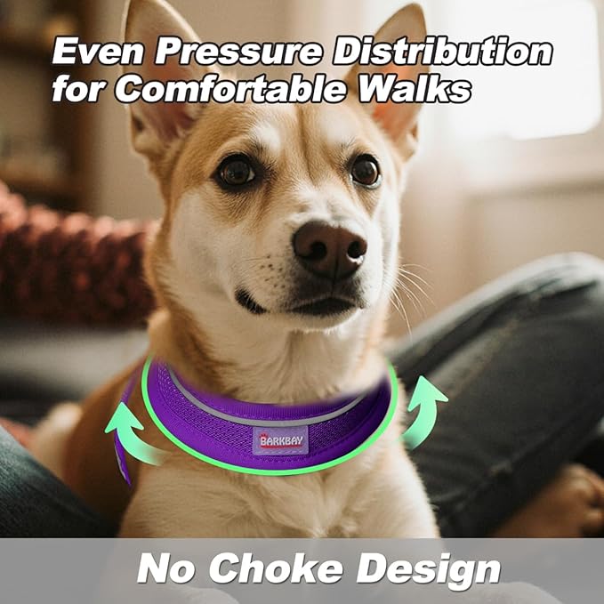 Dog Harness and Leash Set,Step in Small Sized Dog Harness,Soft Mesh,No-Chock,Reflective Adjustable,Secure with Hook & Loop Fastener,Puppy Vest for Small,Medium Dogs(Purple,M)
