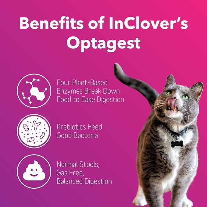 InClover Optagest Natural Digestive Aid, Organic Prebiotics & Enzymes Supplement Powder for Dogs and Cats - Promotes Healthy Stools, Less Gas, Optimal Nutrient Absorption, Intestinal Balance, 10.5oz