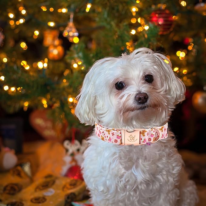 Elegant little tail Dog Collar, Christmas Pink Gingerbread Man Print Pet Collar Cute Dog Collars Male or Female Pet Gift Adjustable Dog Collar for X-Small Dogs