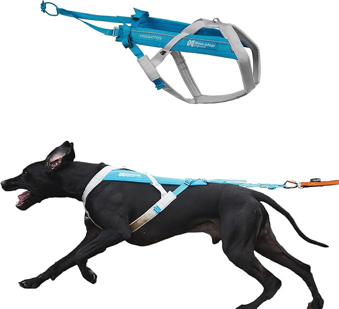 Non-stop dogwear Freemotion Harness 5.0 Dog Pulling Harness for Sports Like Running, Biking and Skiing with Dogs, Professional Adjustable Dog Harness, Blue/Gray, Size 8