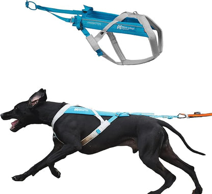 Non-stop dogwear Freemotion Harness 5.0 Dog Pulling Harness for Sports Like Running, Biking and Skiing with Dogs, Professional Adjustable Dog Harness, Blue/Gray, Size 8