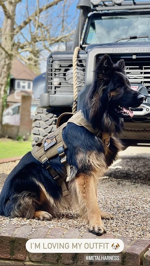 OneTigris Tactical Dog Harness with 5X Metal Buckle,Dog MOLLE Vest with Handle,No Pulling Front Clip,Hook and Loop Panel for Dog Custom Patch
